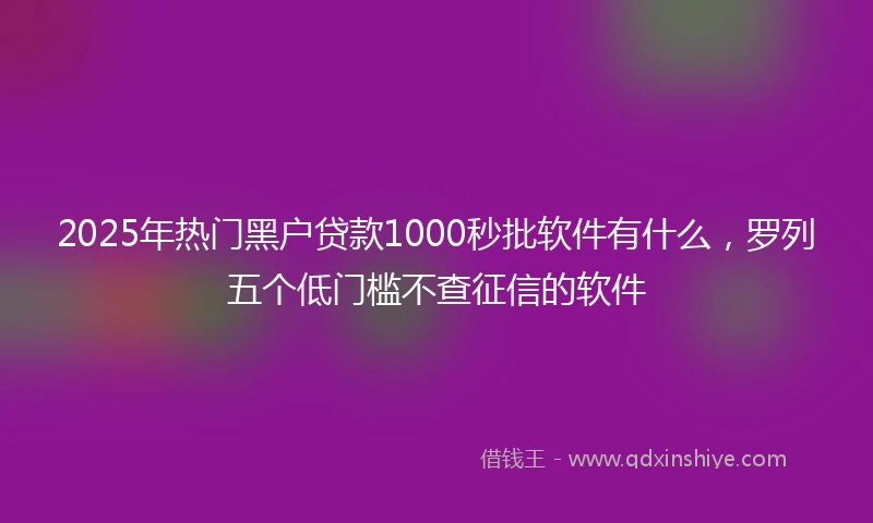2025年热门黑户贷款1000秒批软件有什么，罗列五个低门槛不查征信的软件