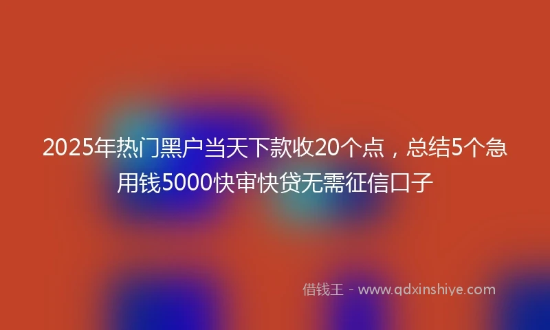 2025年热门黑户当天下款收20个点，总结5个急用钱5000快审快贷无需征信口子