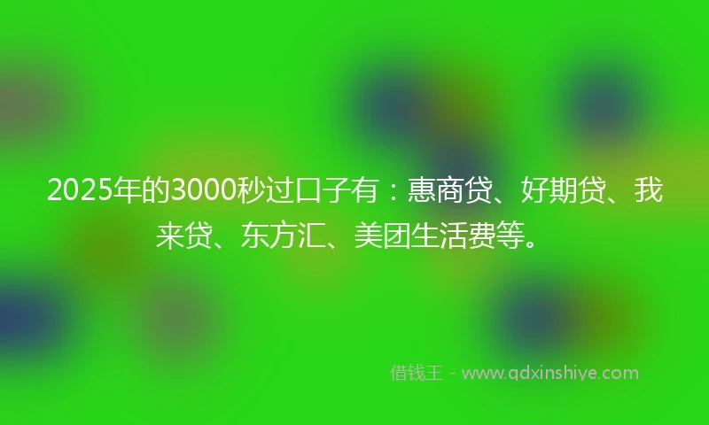 2025年的3000秒过口子有：惠商贷、好期贷、我来贷、东方汇、美团生活费等。