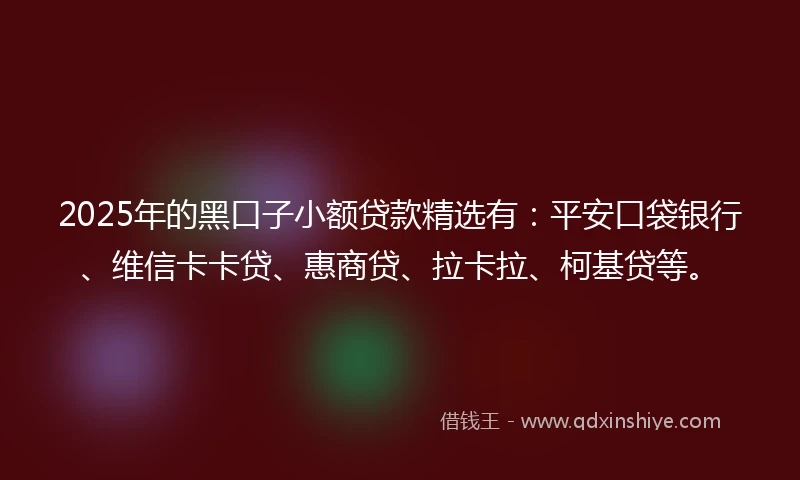 2025年的黑口子小额贷款精选有：平安口袋银行、维信卡卡贷、惠商贷、拉卡拉、柯基贷等。