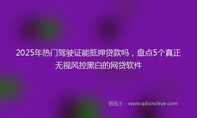 2025年热门驾驶证能抵押贷款吗，盘点5个真正无视风控黑白的网贷软件