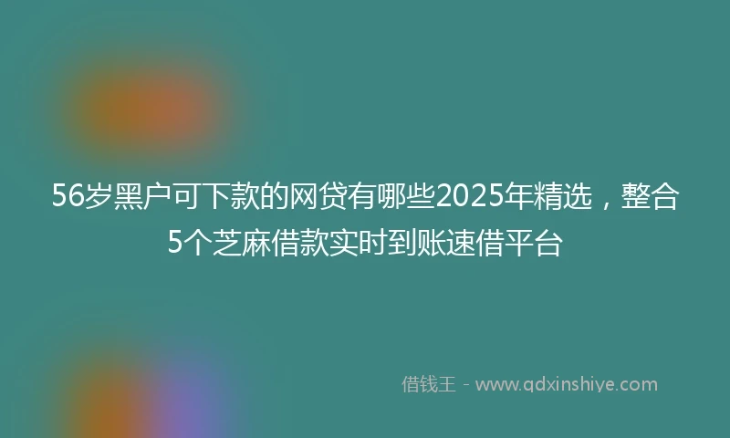 56岁黑户可下款的网贷有哪些2025年精选，整合5个芝麻借款实时到账速借平台