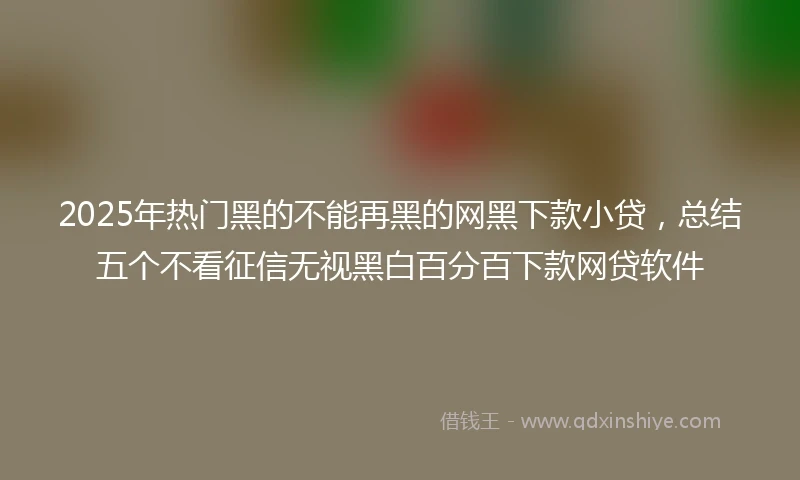 2025年热门黑的不能再黑的网黑下款小贷，总结五个不看征信无视黑白百分百下款网贷软件