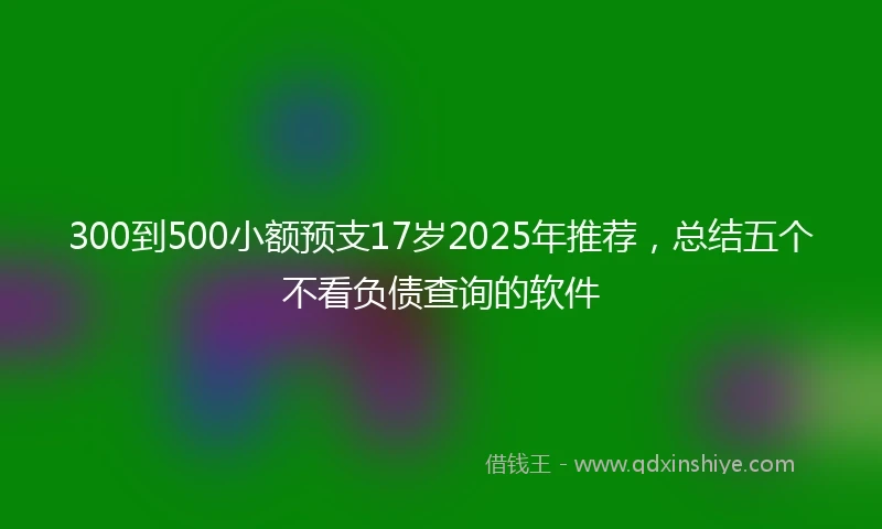 300到500小额预支17岁2025年推荐，总结五个不看负债查询的软件