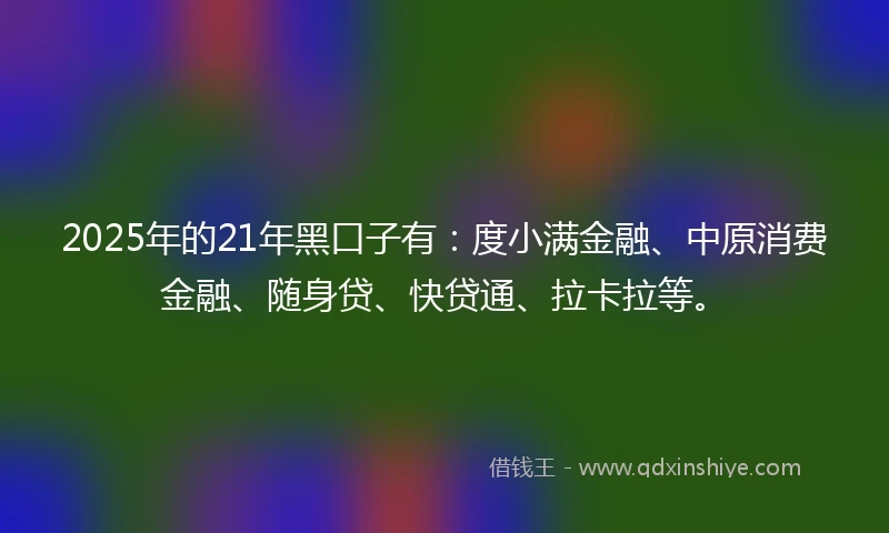 2025年的21年黑口子有：度小满金融、中原消费金融、随身贷、快贷通、拉卡拉等。