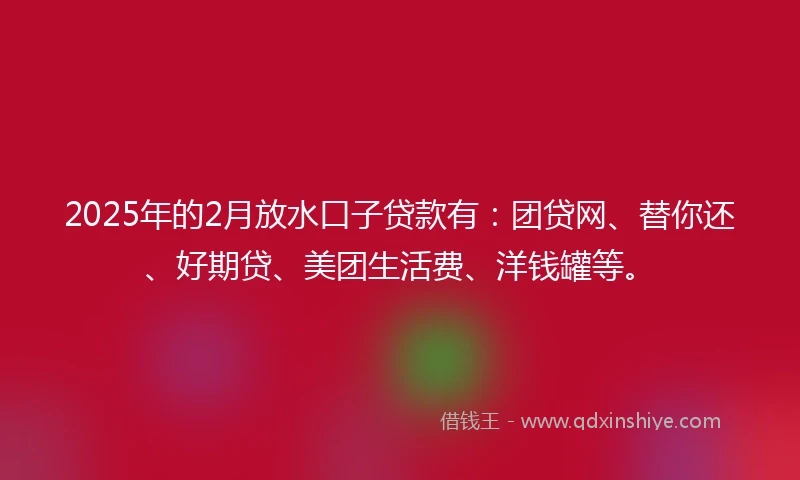2025年的2月放水口子贷款有：团贷网、替你还、好期贷、美团生活费、洋钱罐等。