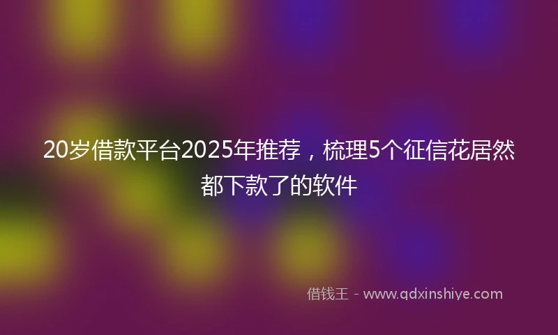 20岁借款平台2025年推荐，梳理5个征信花居然都下款了的软件