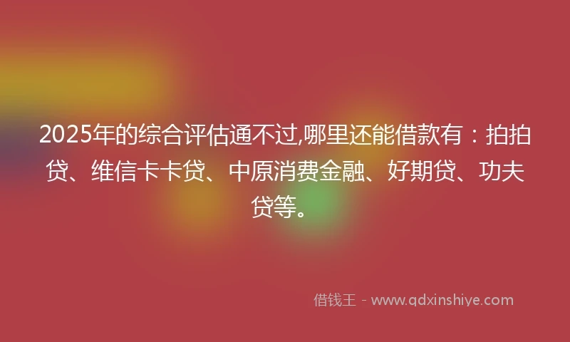 2025年的综合评估通不过,哪里还能借款有：拍拍贷、维信卡卡贷、中原消费金融、好期贷、功夫贷等。