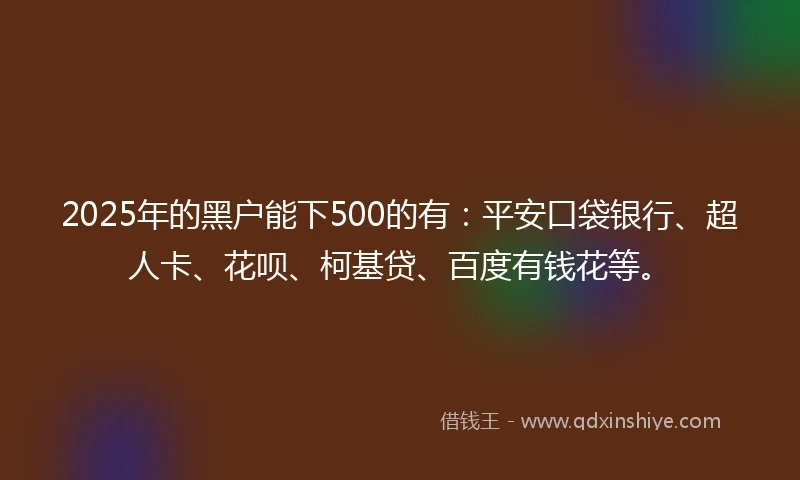2025年的黑户能下500的有：平安口袋银行、超人卡、花呗、柯基贷、百度有钱花等。