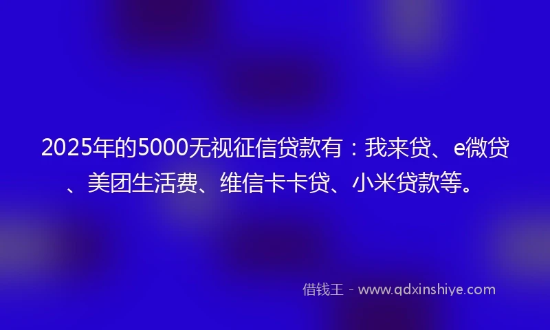 2025年的5000无视征信贷款有：我来贷、e微贷、美团生活费、维信卡卡贷、小米贷款等。