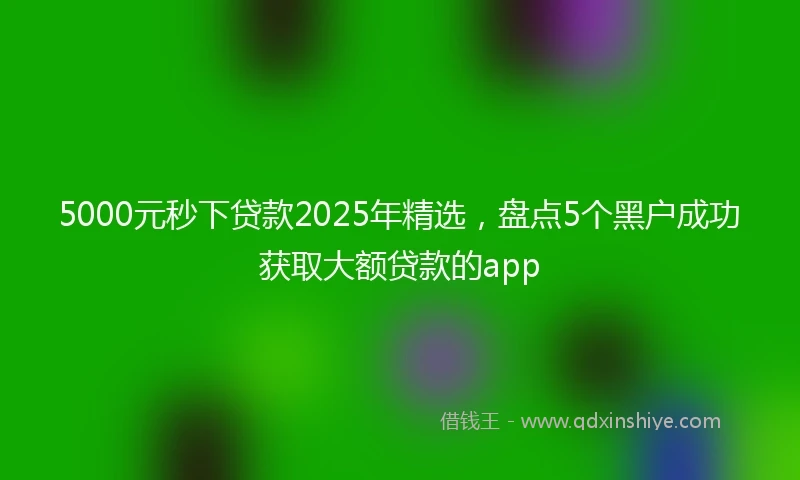 5000元秒下贷款2025年精选，盘点5个黑户成功获取大额贷款的app