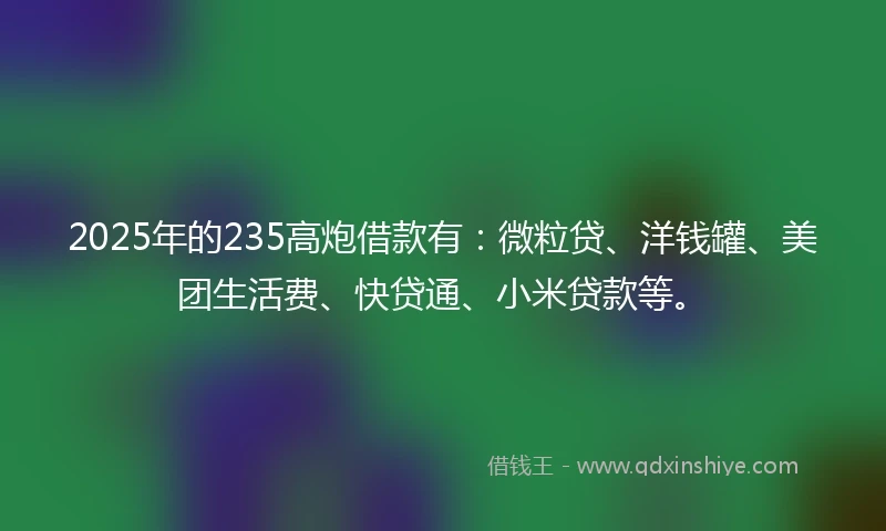 2025年的235高炮借款有：微粒贷、洋钱罐、美团生活费、快贷通、小米贷款等。