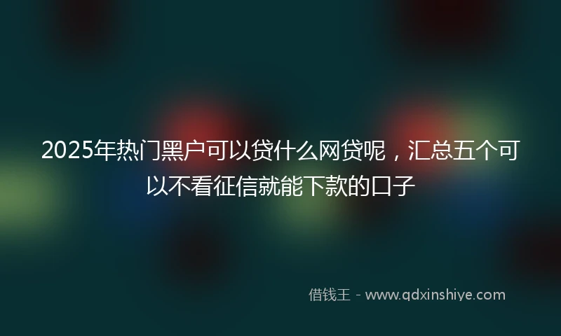 2025年热门黑户可以贷什么网贷呢，汇总五个可以不看征信就能下款的口子