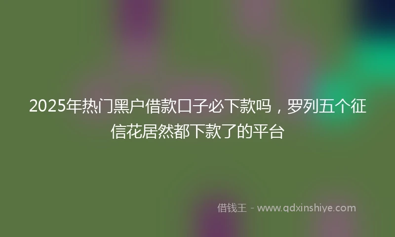 2025年热门黑户借款口子必下款吗，罗列五个征信花居然都下款了的平台