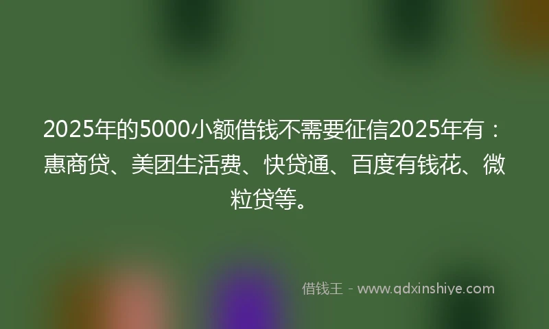 2025年的5000小额借钱不需要征信2025年有：惠商贷、美团生活费、快贷通、百度有钱花、微粒贷等。