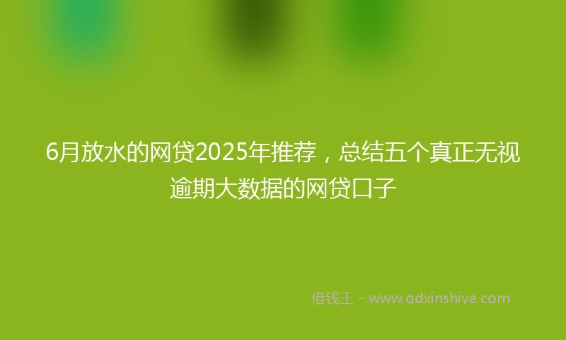 6月放水的网贷2025年推荐，总结五个真正无视逾期大数据的网贷口子