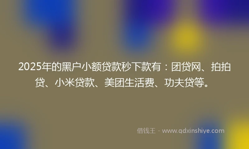 2025年的黑户小额贷款秒下款有：团贷网、拍拍贷、小米贷款、美团生活费、功夫贷等。