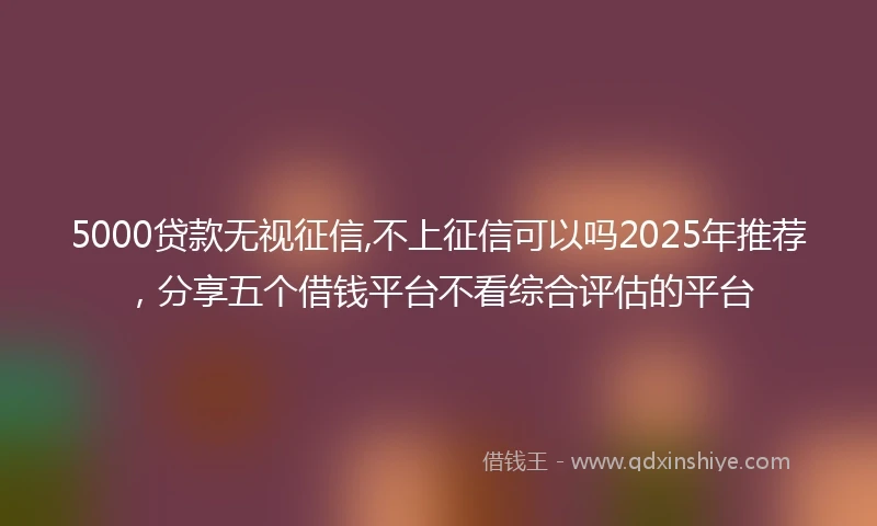5000贷款无视征信,不上征信可以吗2025年推荐，分享五个借钱平台不看综合评估的平台