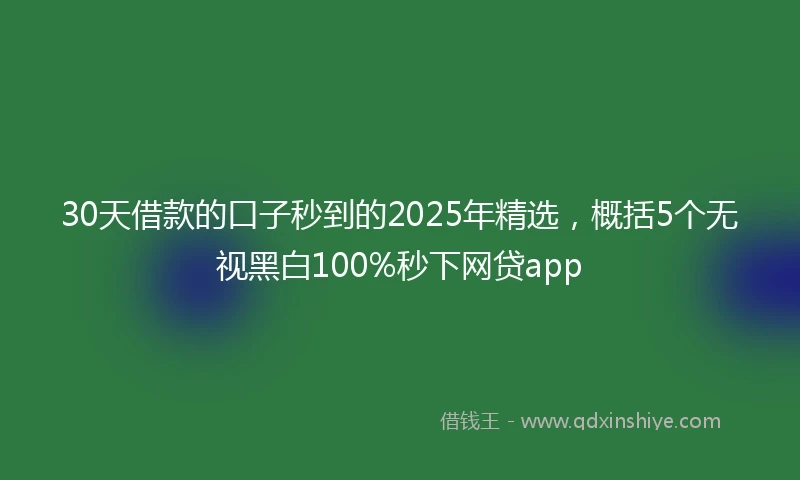 30天借款的口子秒到的2025年精选，概括5个无视黑白100%秒下网贷app