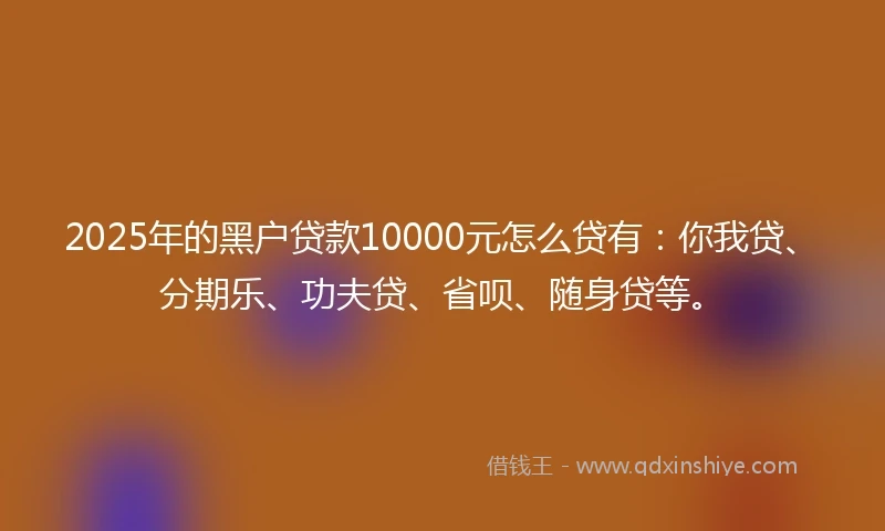 2025年的黑户贷款10000元怎么贷有：你我贷、分期乐、功夫贷、省呗、随身贷等。