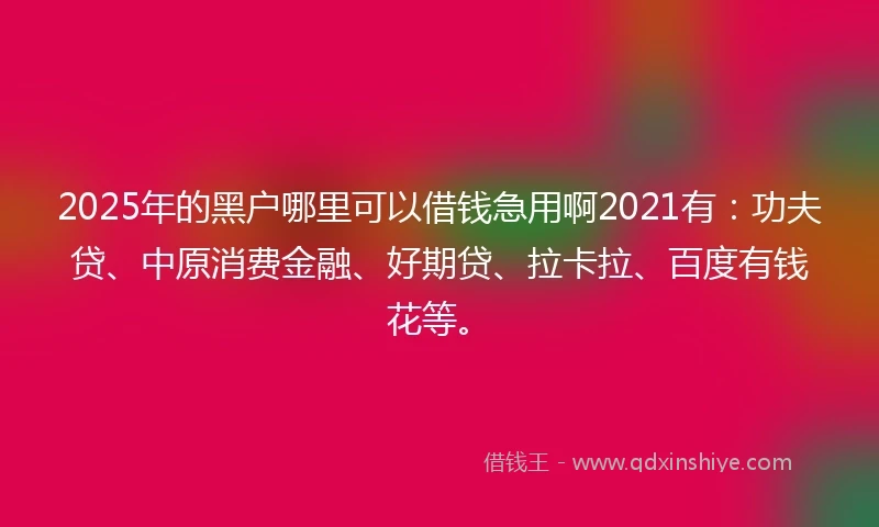 2025年的黑户哪里可以借钱急用啊2021有：功夫贷、中原消费金融、好期贷、拉卡拉、百度有钱花等。
