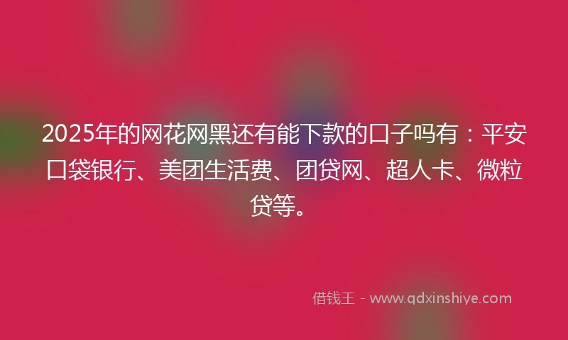 2025年的网花网黑还有能下款的口子吗有：平安口袋银行、美团生活费、团贷网、超人卡、微粒贷等。