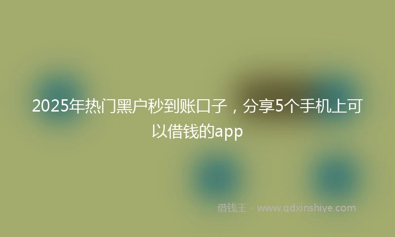 2025年热门黑户秒到账口子，分享5个手机上可以借钱的app