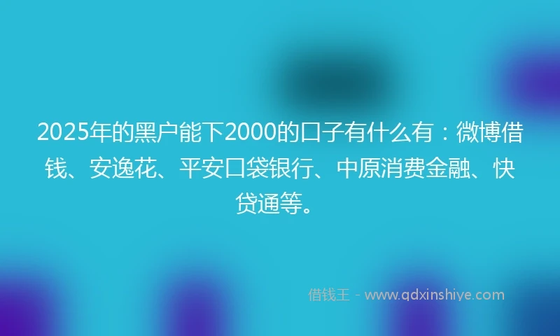 2025年的黑户能下2000的口子有什么有：微博借钱、安逸花、平安口袋银行、中原消费金融、快贷通等。