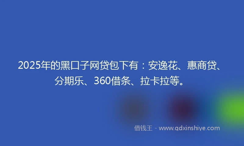 2025年的黑口子网贷包下有：安逸花、惠商贷、分期乐、360借条、拉卡拉等。