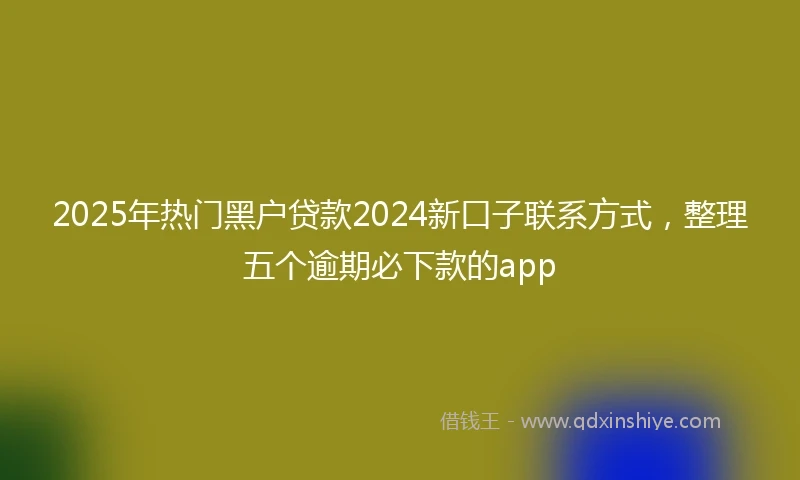 2025年热门黑户贷款2024新口子联系方式，整理五个逾期必下款的app