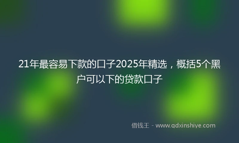 21年最容易下款的口子2025年精选，概括5个黑户可以下的贷款口子