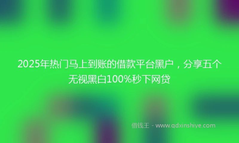 2025年热门马上到账的借款平台黑户，分享五个无视黑白100%秒下网贷