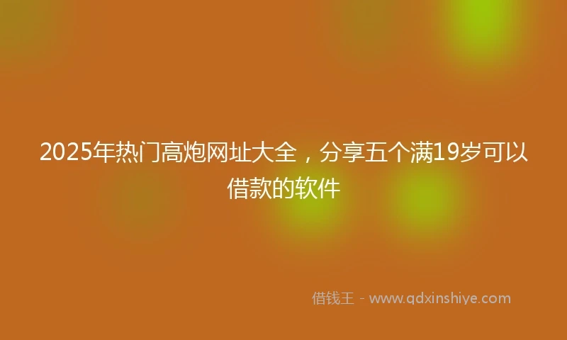 2025年热门高炮网址大全，分享五个满19岁可以借款的软件
