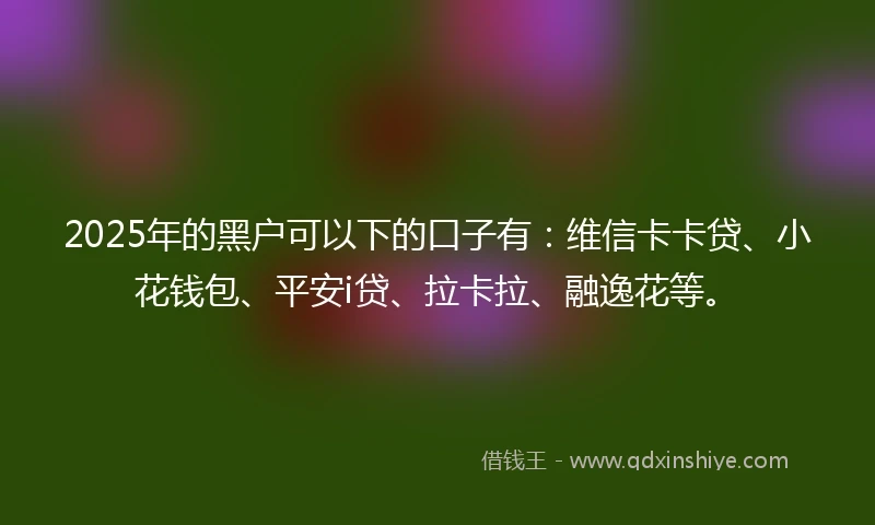 2025年的黑户可以下的口子有：维信卡卡贷、小花钱包、平安i贷、拉卡拉、融逸花等。