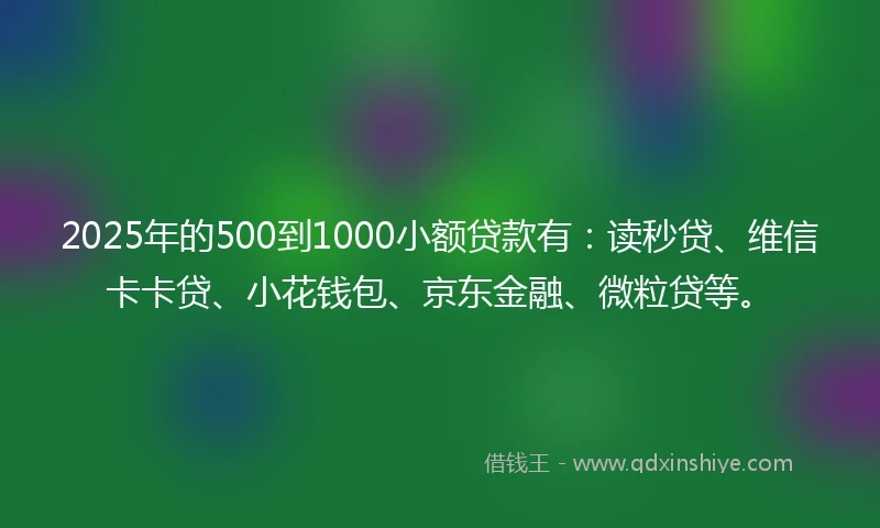 2025年的500到1000小额贷款有：读秒贷、维信卡卡贷、小花钱包、京东金融、微粒贷等。