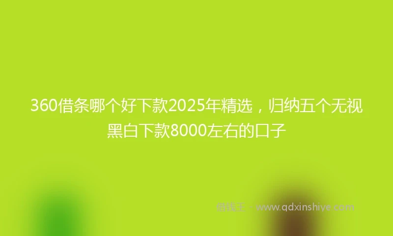 360借条哪个好下款2025年精选，归纳五个无视黑白下款8000左右的口子