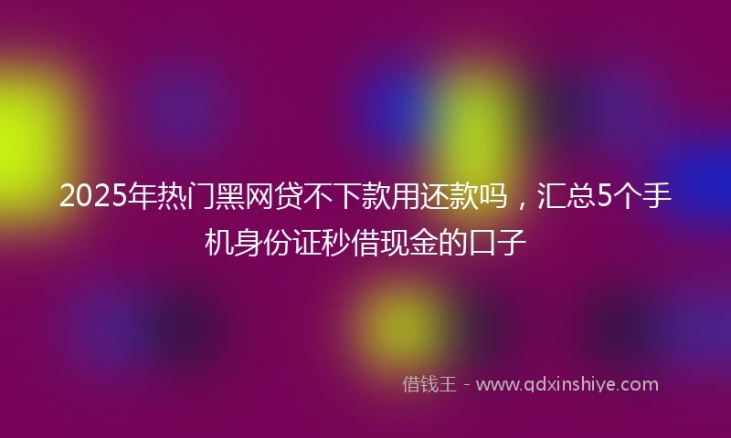2025年热门黑网贷不下款用还款吗，汇总5个手机身份证秒借现金的口子