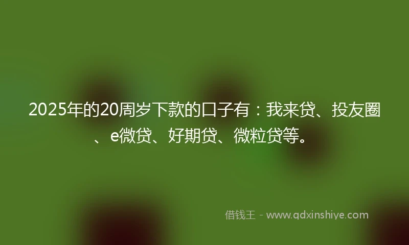 2025年的20周岁下款的口子有：我来贷、投友圈、e微贷、好期贷、微粒贷等。