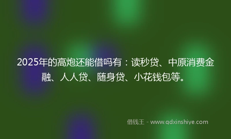 2025年的高炮还能借吗有：读秒贷、中原消费金融、人人贷、随身贷、小花钱包等。