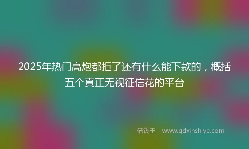 2025年热门高炮都拒了还有什么能下款的，概括五个真正无视征信花的平台