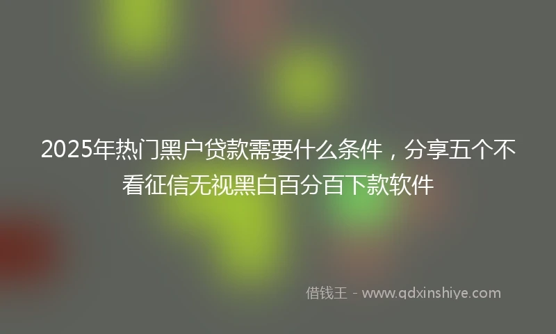 2025年热门黑户贷款需要什么条件，分享五个不看征信无视黑白百分百下款软件