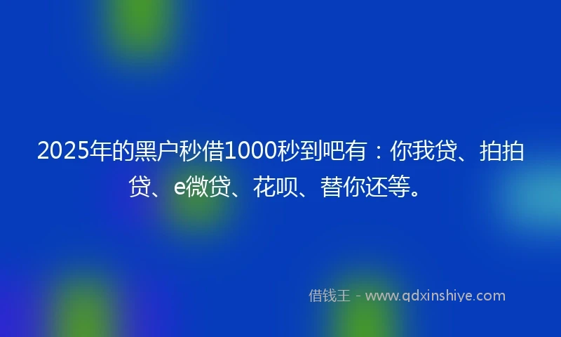 2025年的黑户秒借1000秒到吧有：你我贷、拍拍贷、e微贷、花呗、替你还等。