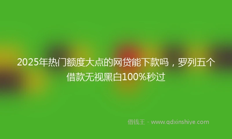 2025年热门额度大点的网贷能下款吗，罗列五个借款无视黑白100%秒过