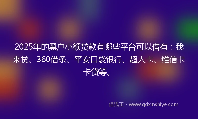 2025年的黑户小额贷款有哪些平台可以借有：我来贷、360借条、平安口袋银行、超人卡、维信卡卡贷等。
