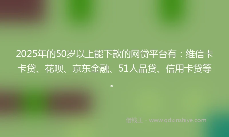 2025年的50岁以上能下款的网贷平台有：维信卡卡贷、花呗、京东金融、51人品贷、信用卡贷等。