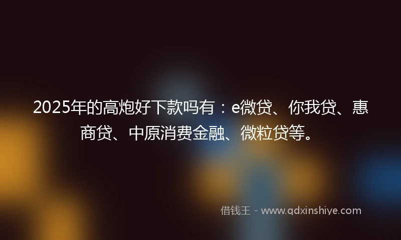 2025年的高炮好下款吗有：e微贷、你我贷、惠商贷、中原消费金融、微粒贷等。