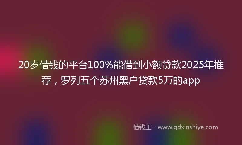 20岁借钱的平台100%能借到小额贷款2025年推荐，罗列五个苏州黑户贷款5万的app