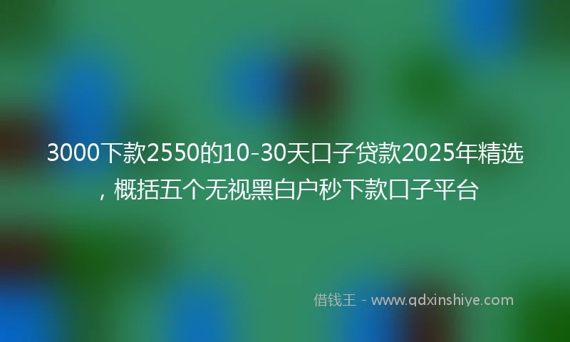 3000下款2550的10-30天口子贷款2025年精选，概括五个无视黑白户秒下款口子平台