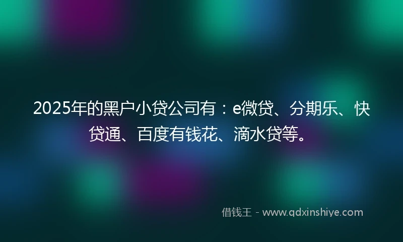 2025年的黑户小贷公司有：e微贷、分期乐、快贷通、百度有钱花、滴水贷等。