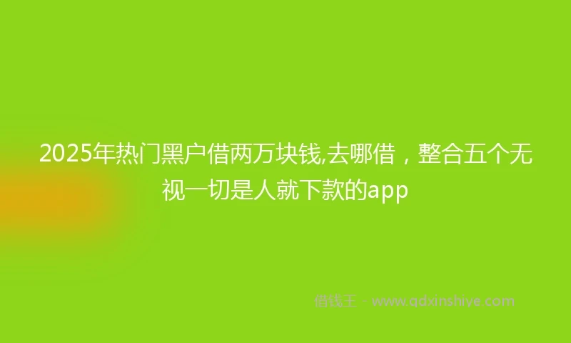 2025年热门黑户借两万块钱,去哪借，整合五个无视一切是人就下款的app